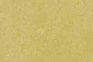 Линолеум Forbo Marmoleum Decibel on Order 325935 mustard фото  | FLOORDEALER